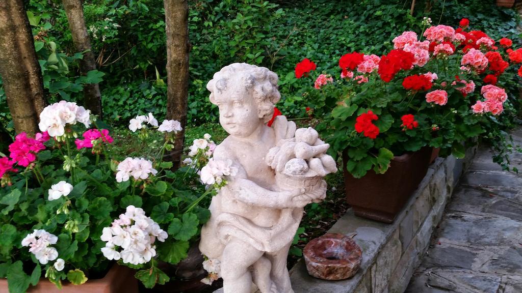 Ulivi Di Castello Bed & Breakfast