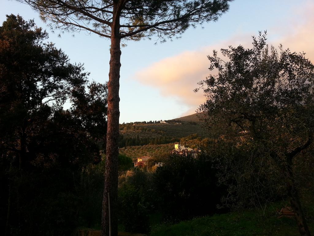 Ulivi Di Castello Acomodação com café da manhã  3*