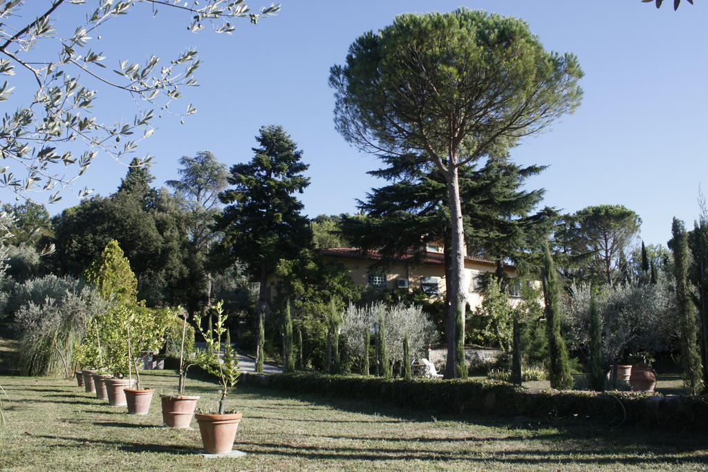 Ulivi Di Castello Acomodação com café da manhã  Florença