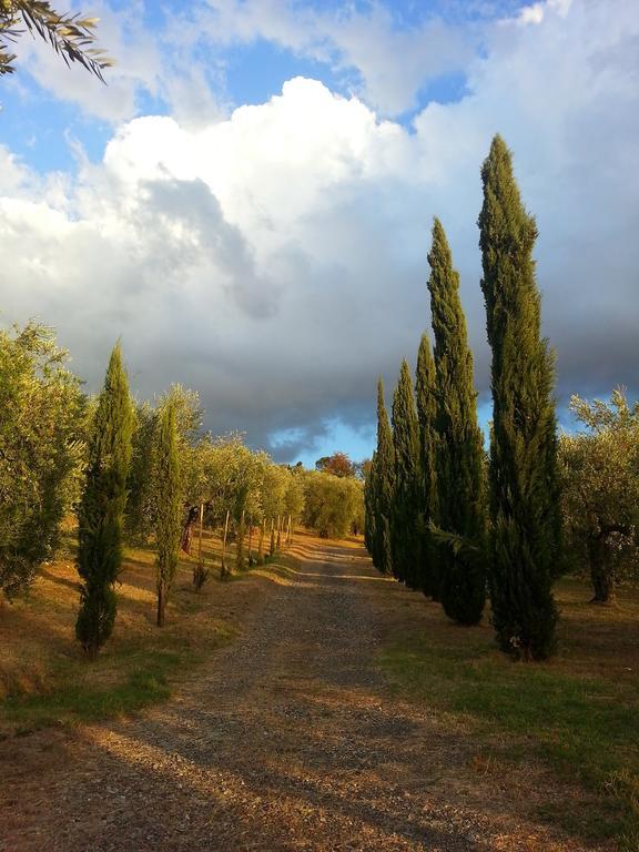 Ulivi Di Castello 3*