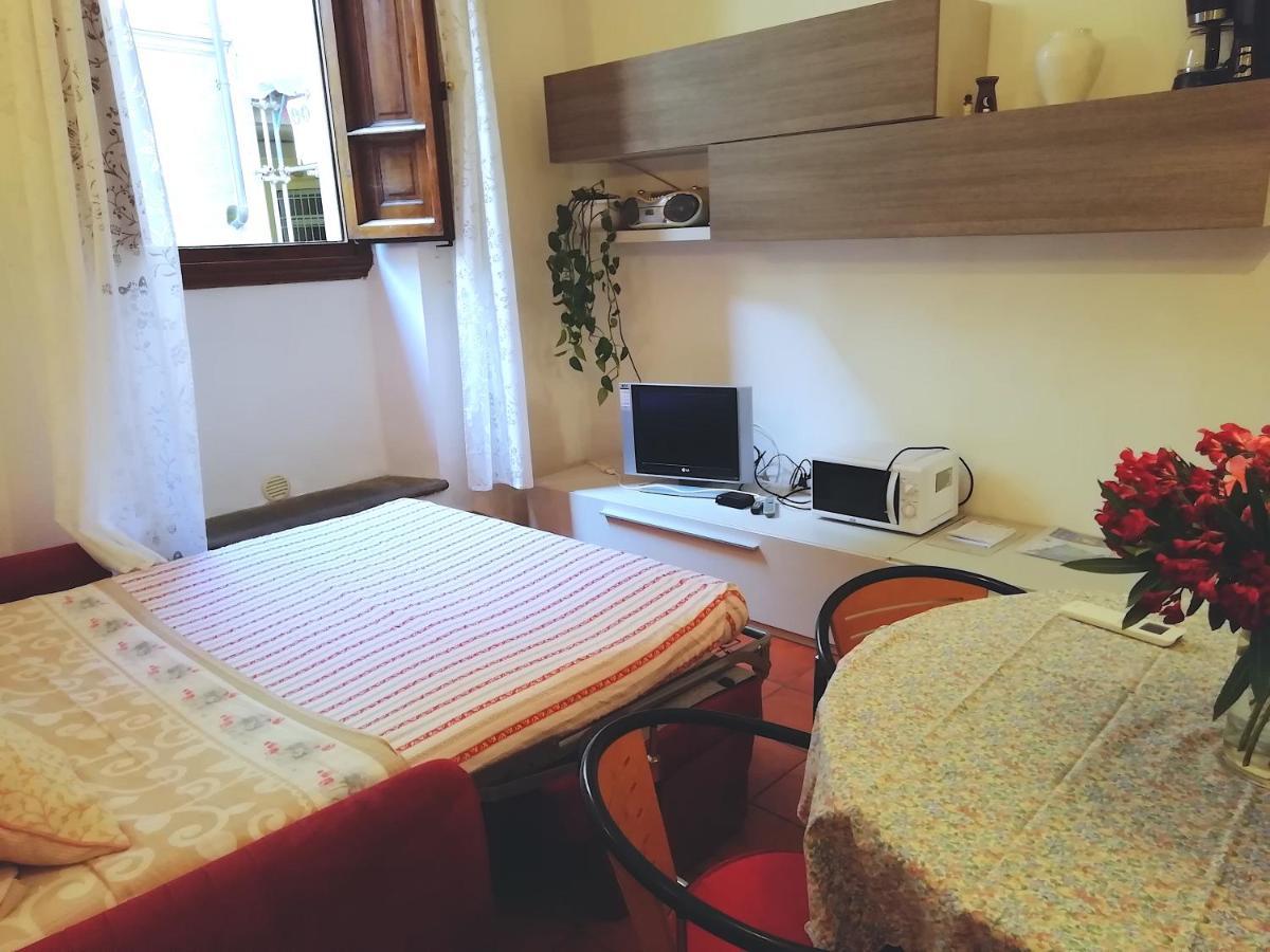 Grazioso In Oltrarno A Firenze