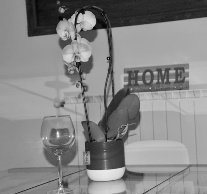 Brand New Apartment Florence