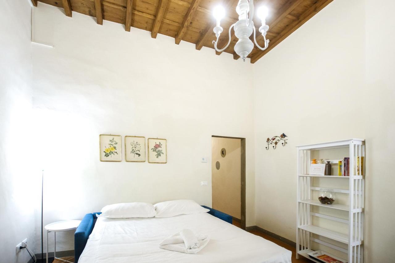 Apartment Roomy And Elegant By Piazza Pitti
