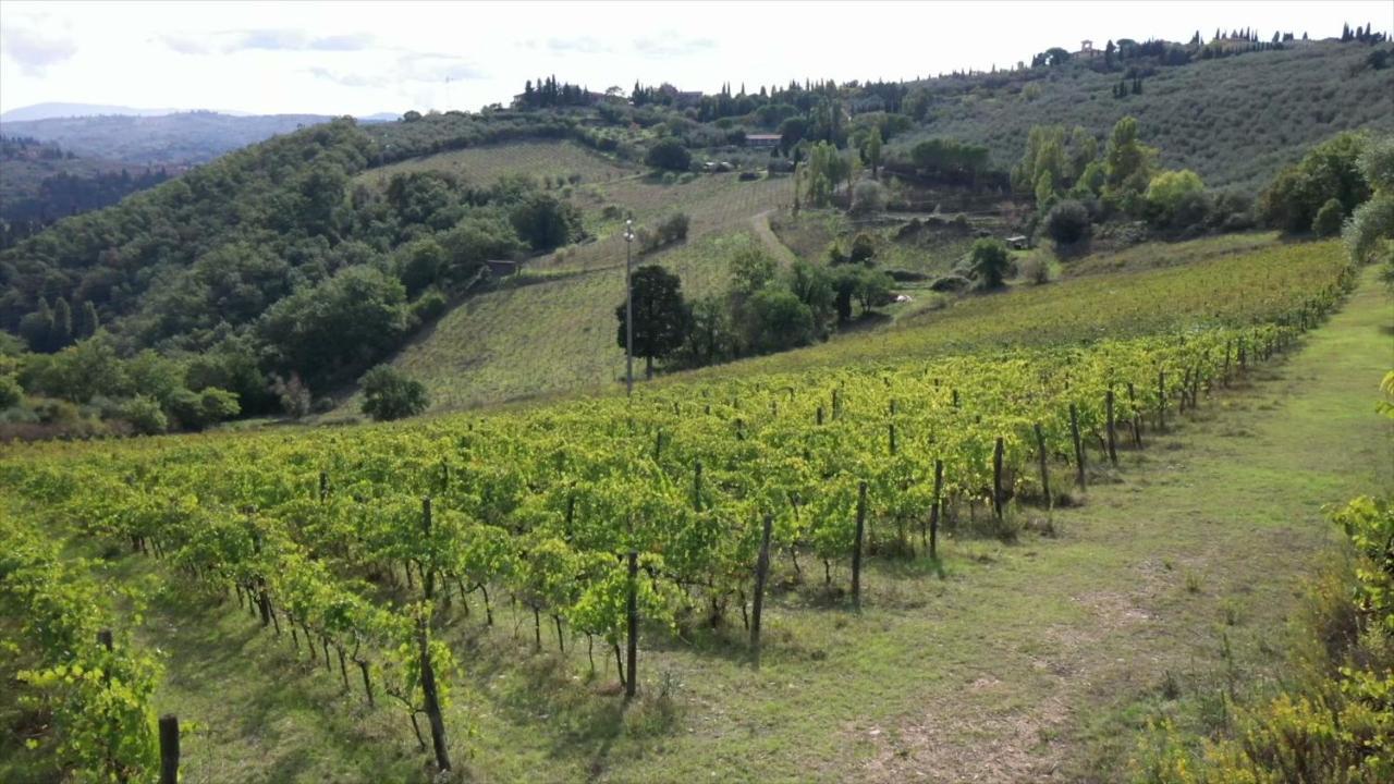 Fattoria Il Milione Farm stay *