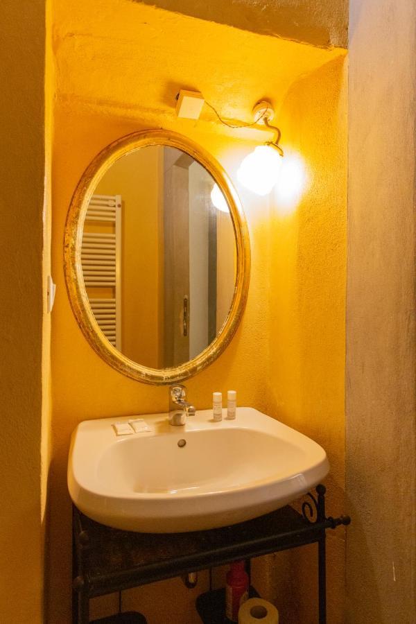Comfy Near Palazzo Pitti Florence