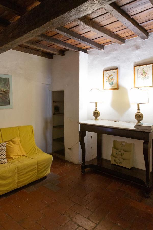 Apartment Comfy Near Palazzo Pitti Florence