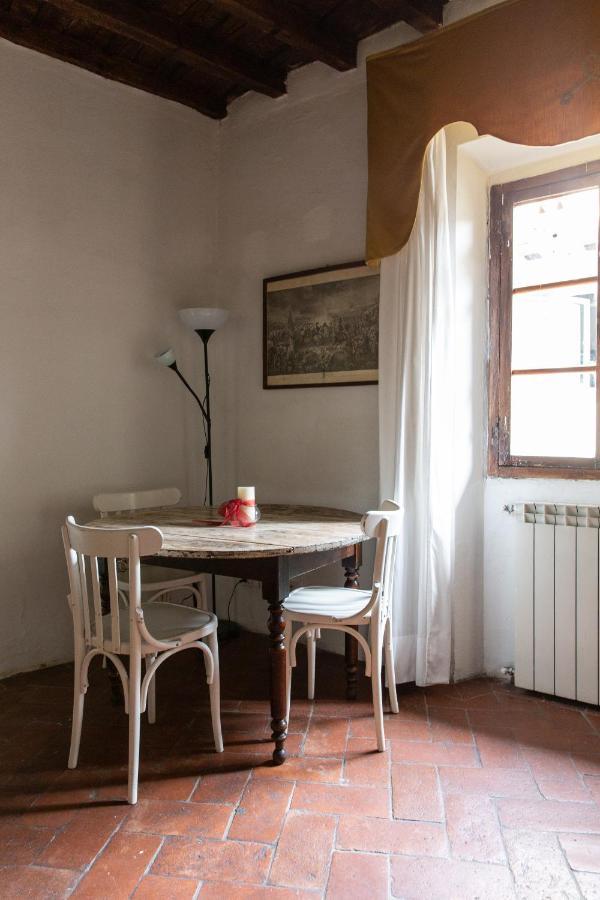 Apartment Comfy Near Palazzo Pitti Florence