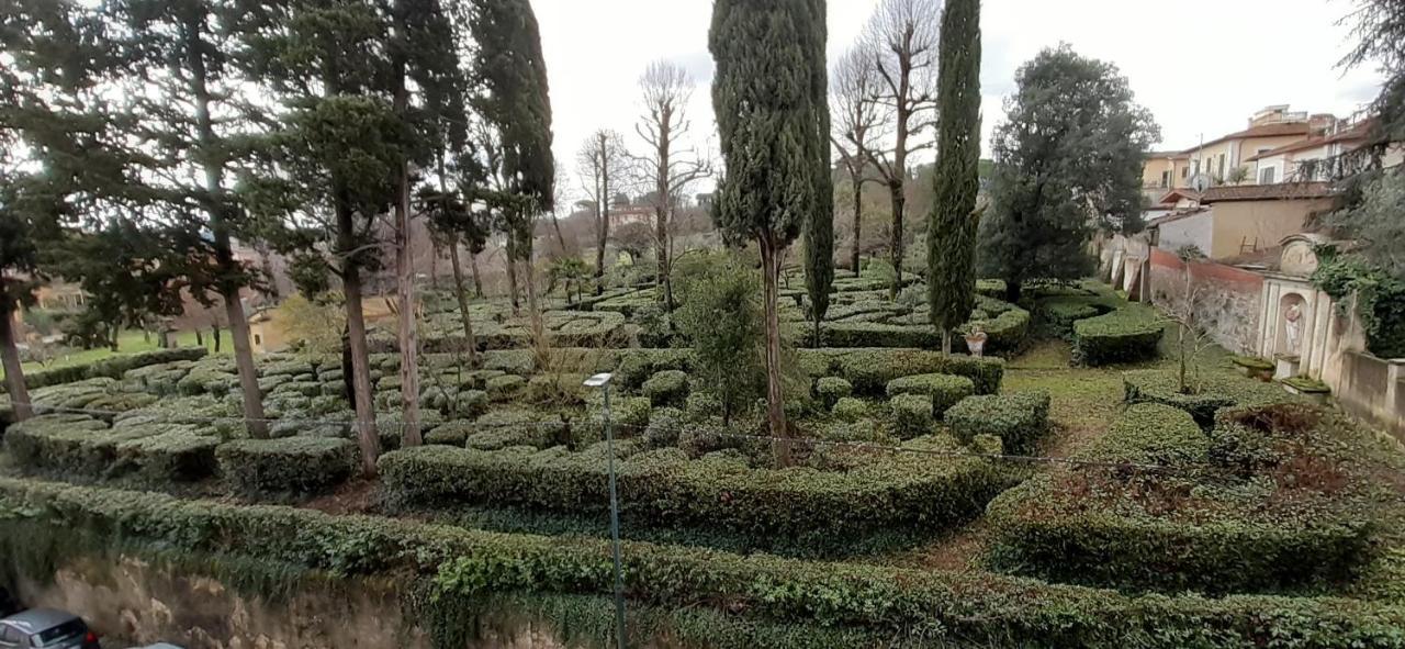 L'albero Di Garibaldi Florence