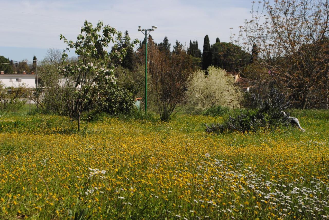 Fattoria Di Malavolta Florenz