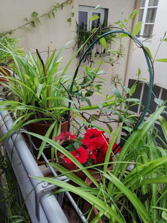 Appartement Pitti Loft Florence
