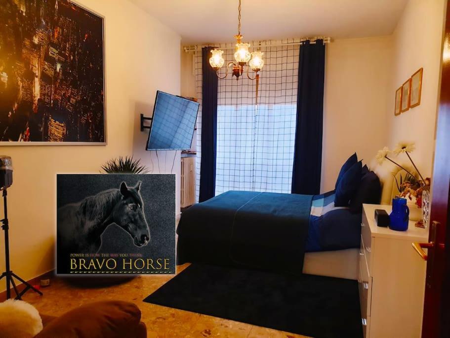 Bravo Horse Séjour chez l'habitant Florence