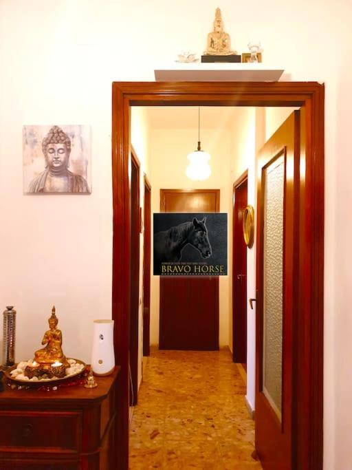 Bravo Horse * Florence