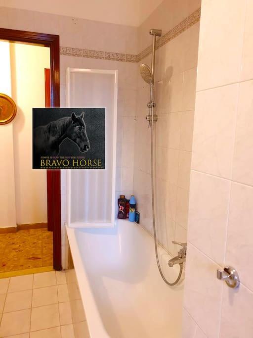 Séjour chez l'habitant Bravo Horse Florence