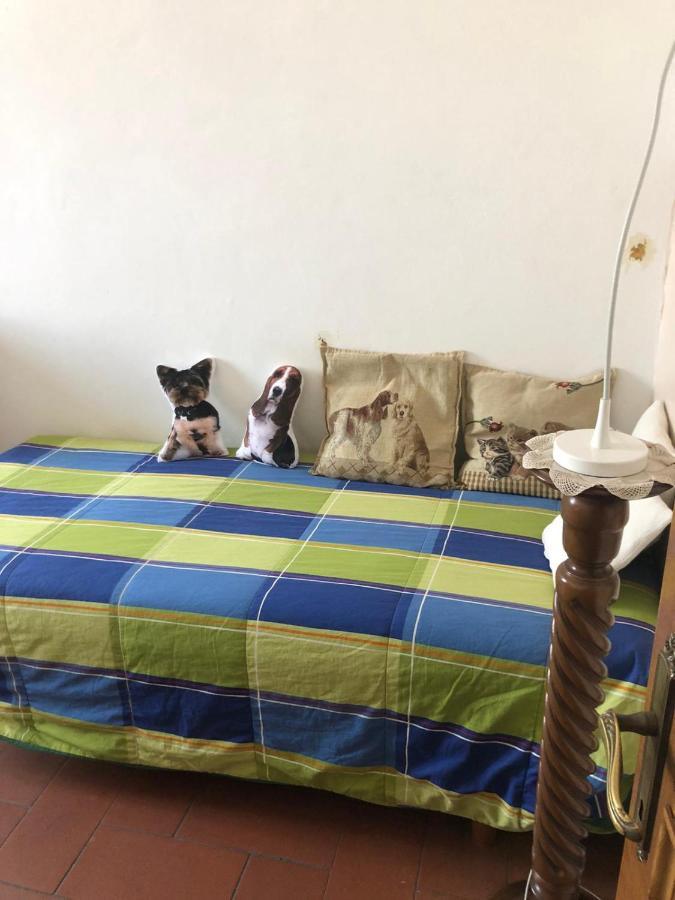 Solo Traveller Bedroom In Homestays Center Privatunterkunft