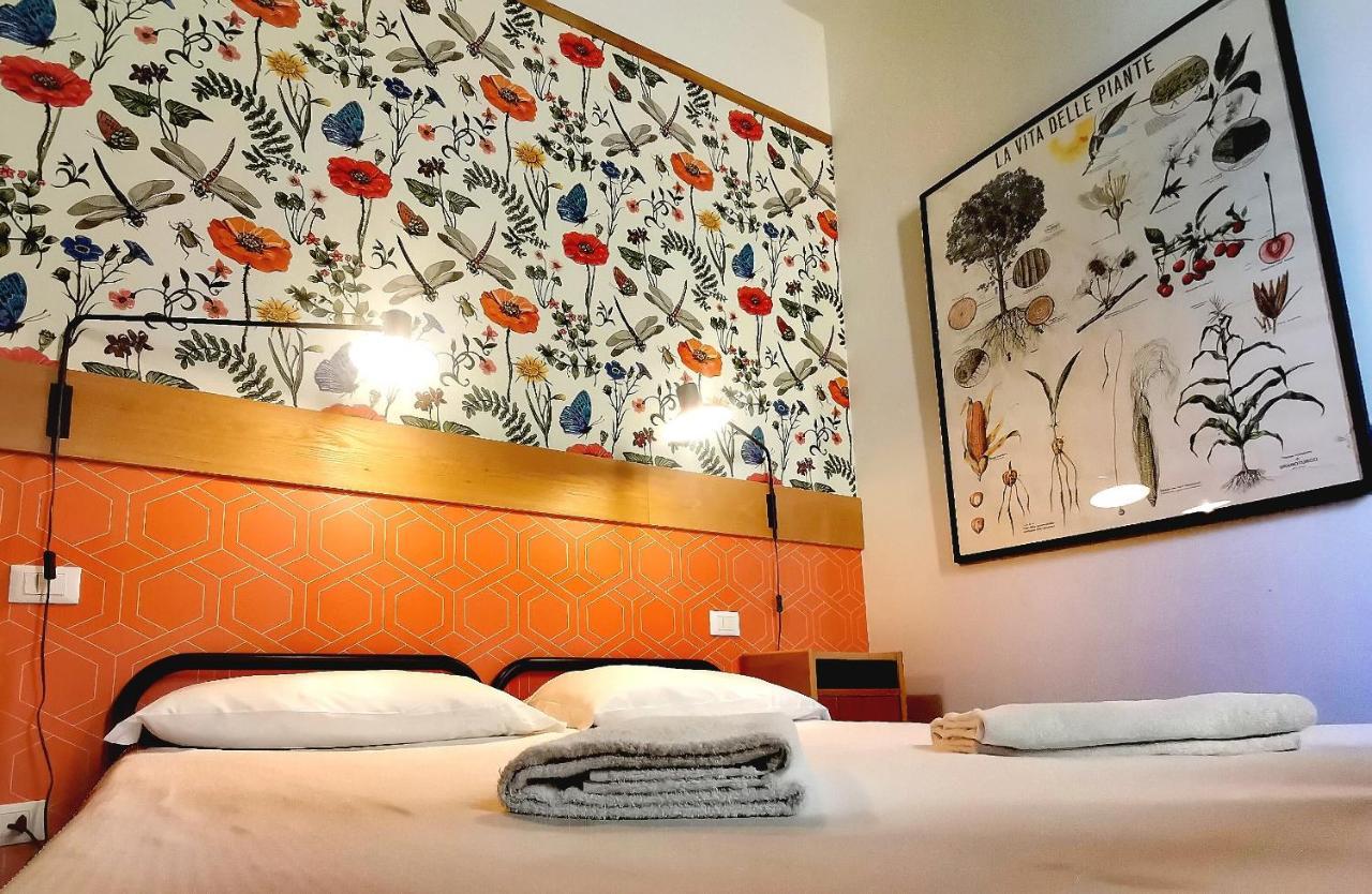 Tasso Albergue