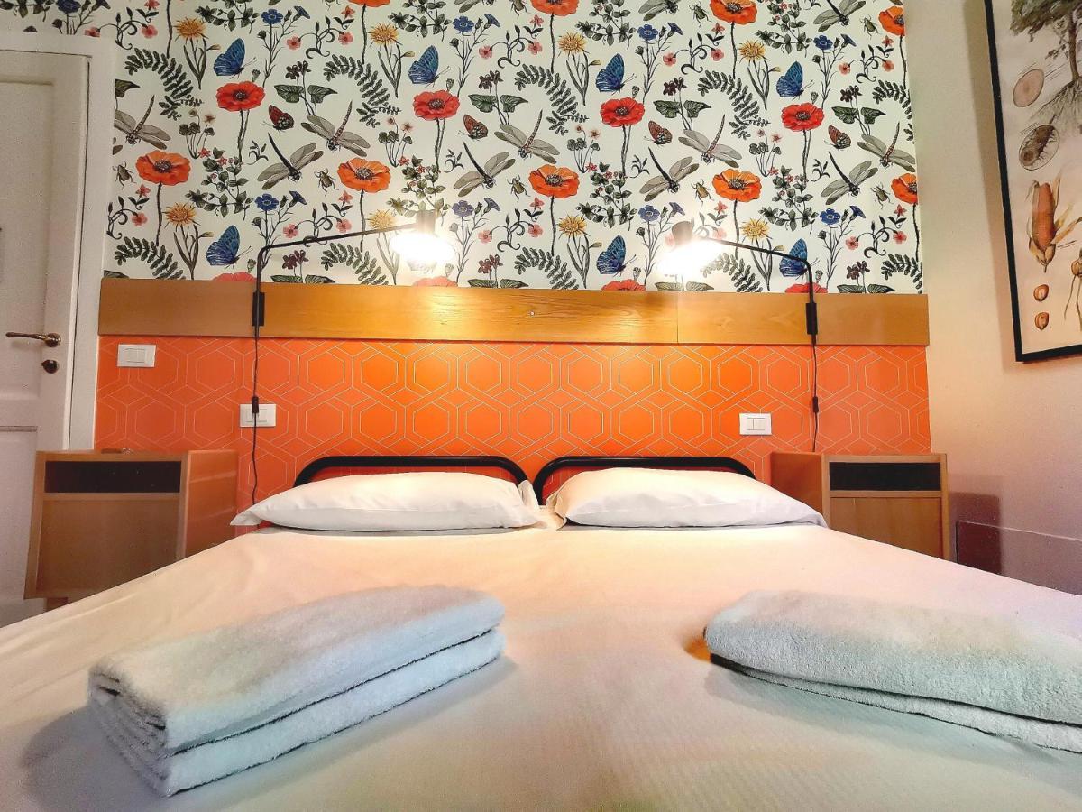 Tasso Albergue *