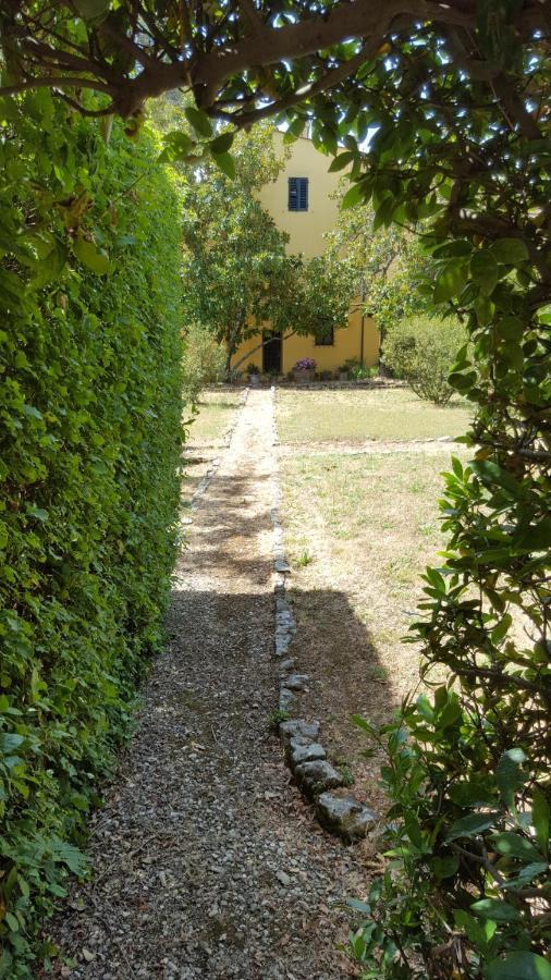 La Limonaia * Florença