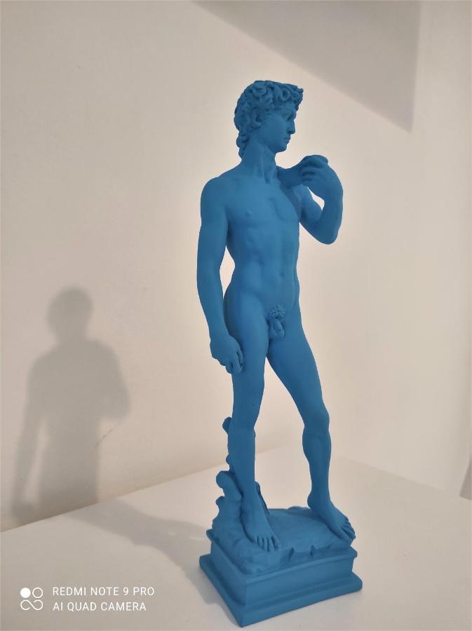 Dependace Il David Di Michelangelo Appartement Florence
