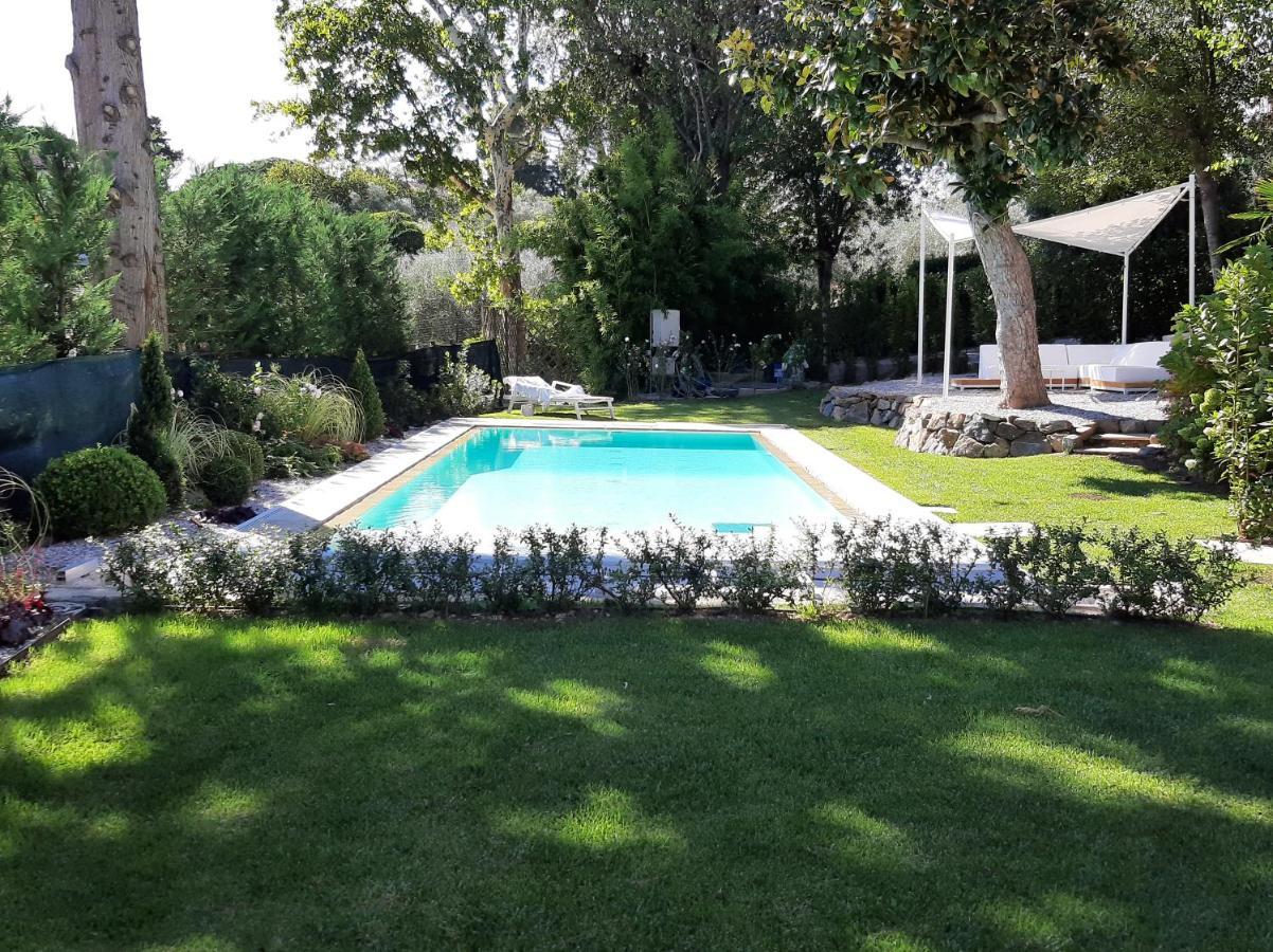 Your In - Private Swimming Pool And Turkish Bath Florence