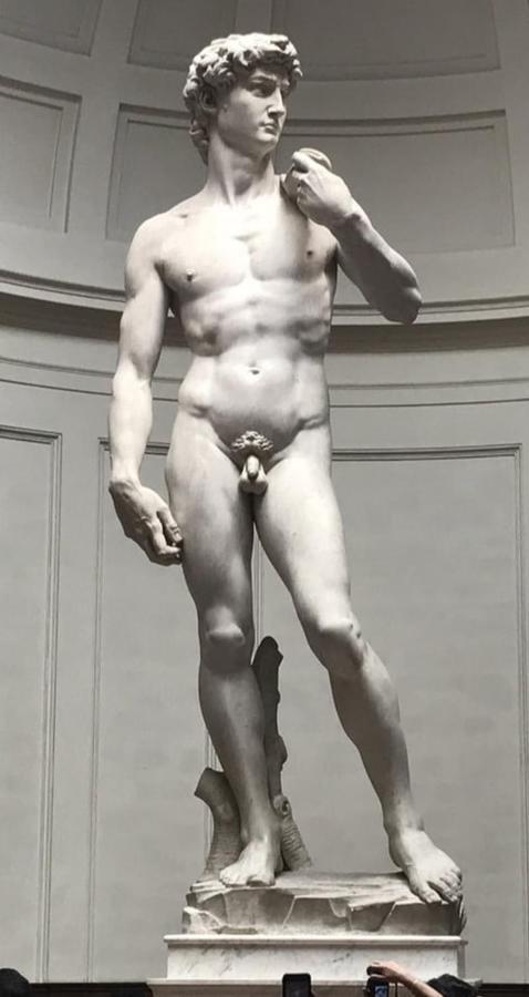 Appartement Dependace Il David Di Michelangelo