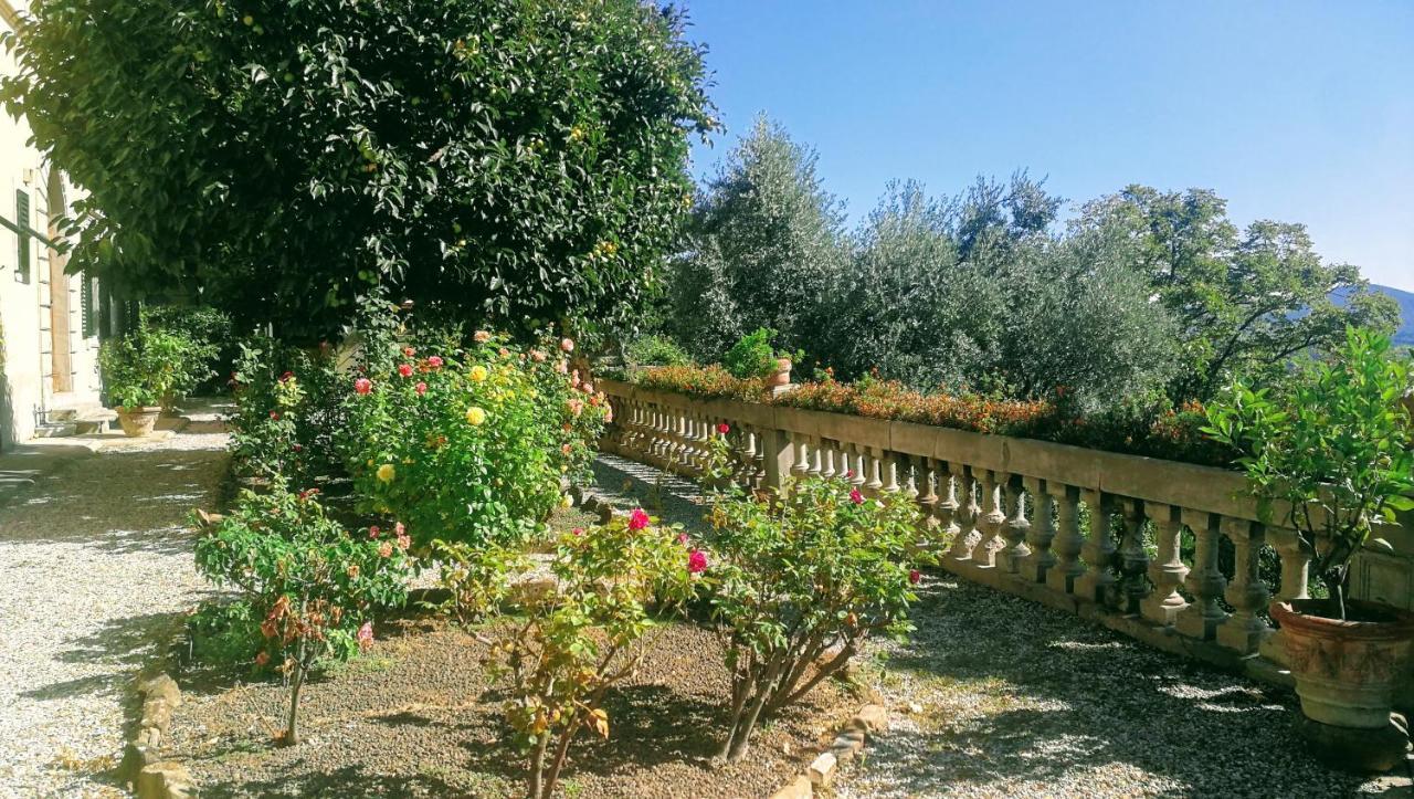 La Piccioncina