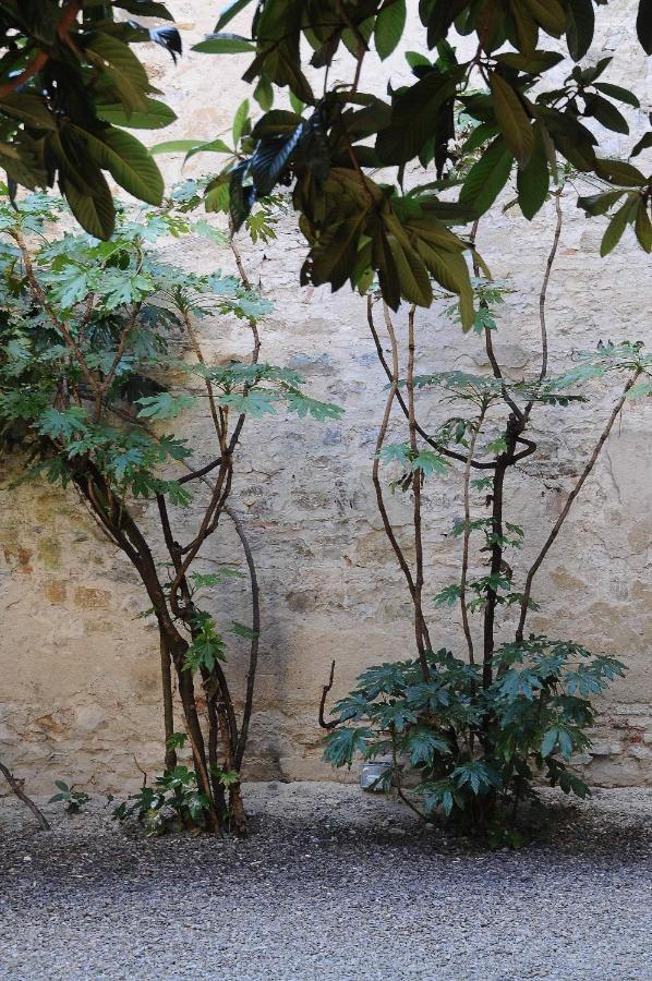 Residenza Branca Della Ripa Apartment