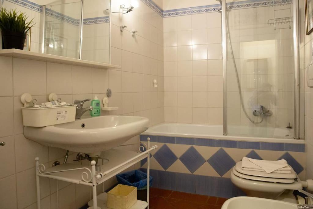 Apartment Charming By Piazza Santo Spirito