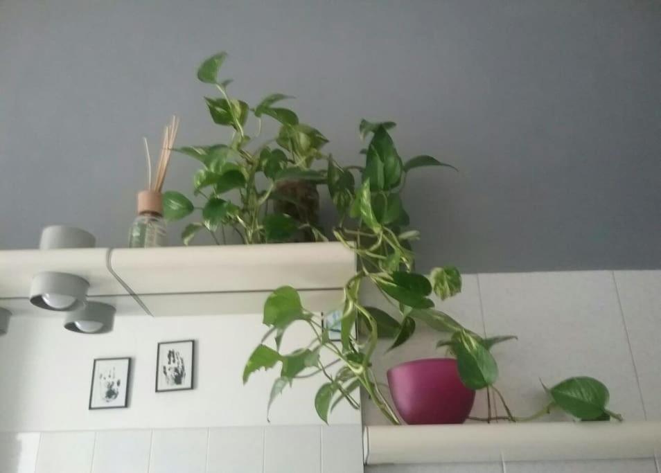 Guest house Mascagni Florence