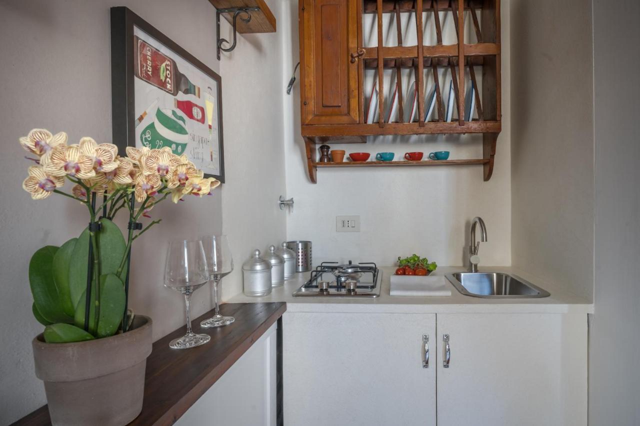 Apartment Santo Spirito's Nest Florence