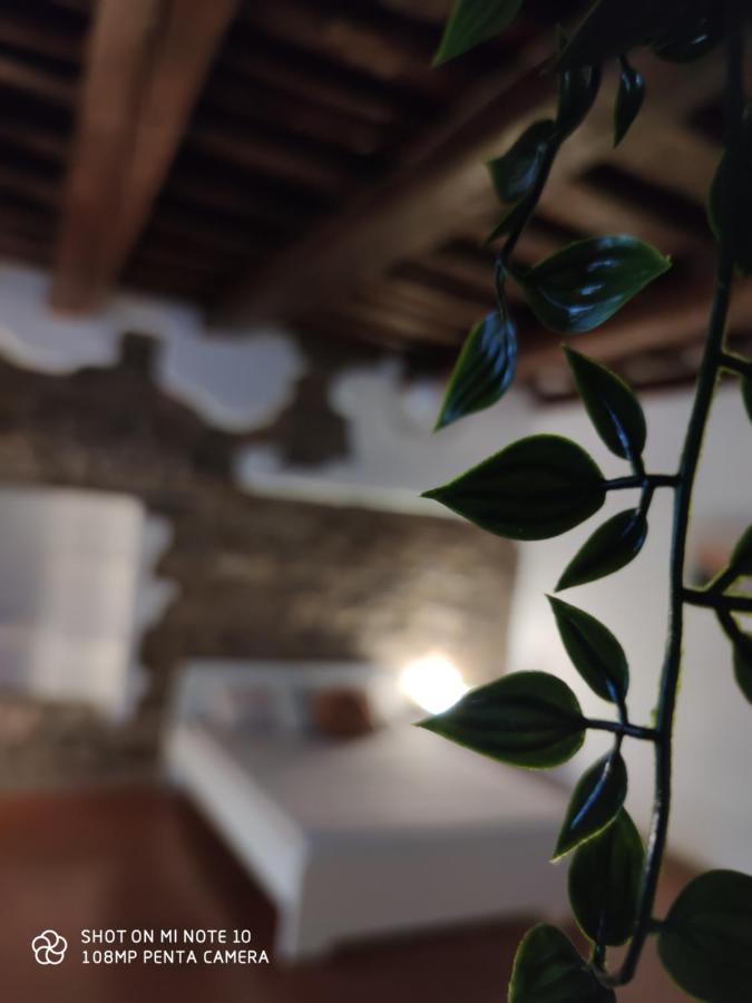 Guest house Dante's Dei Cerchi *
