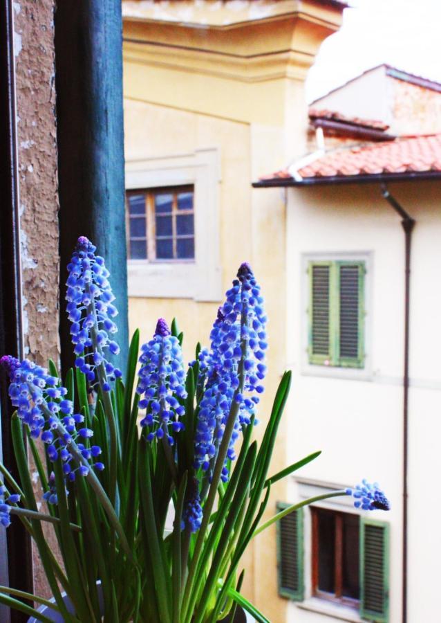 In Via San Gallo *