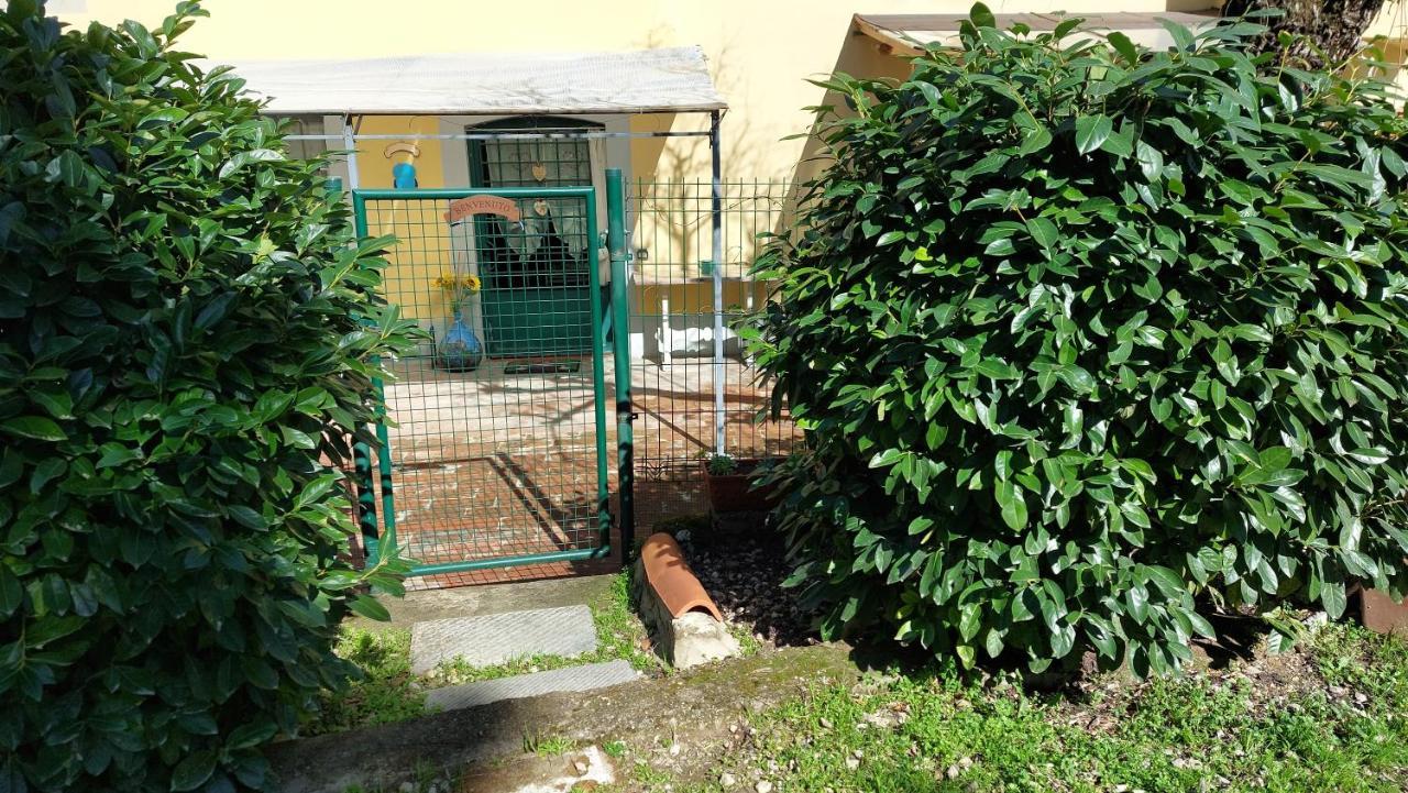 Apartment La Piccola Oasi Con Parcheggio *