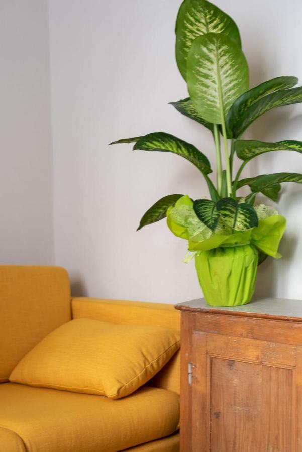 Appartement San Zanobi Family In *
