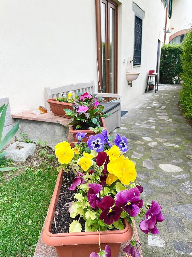 Appartement Dalu Davide - Private Car Park 15 Minutes To The Center