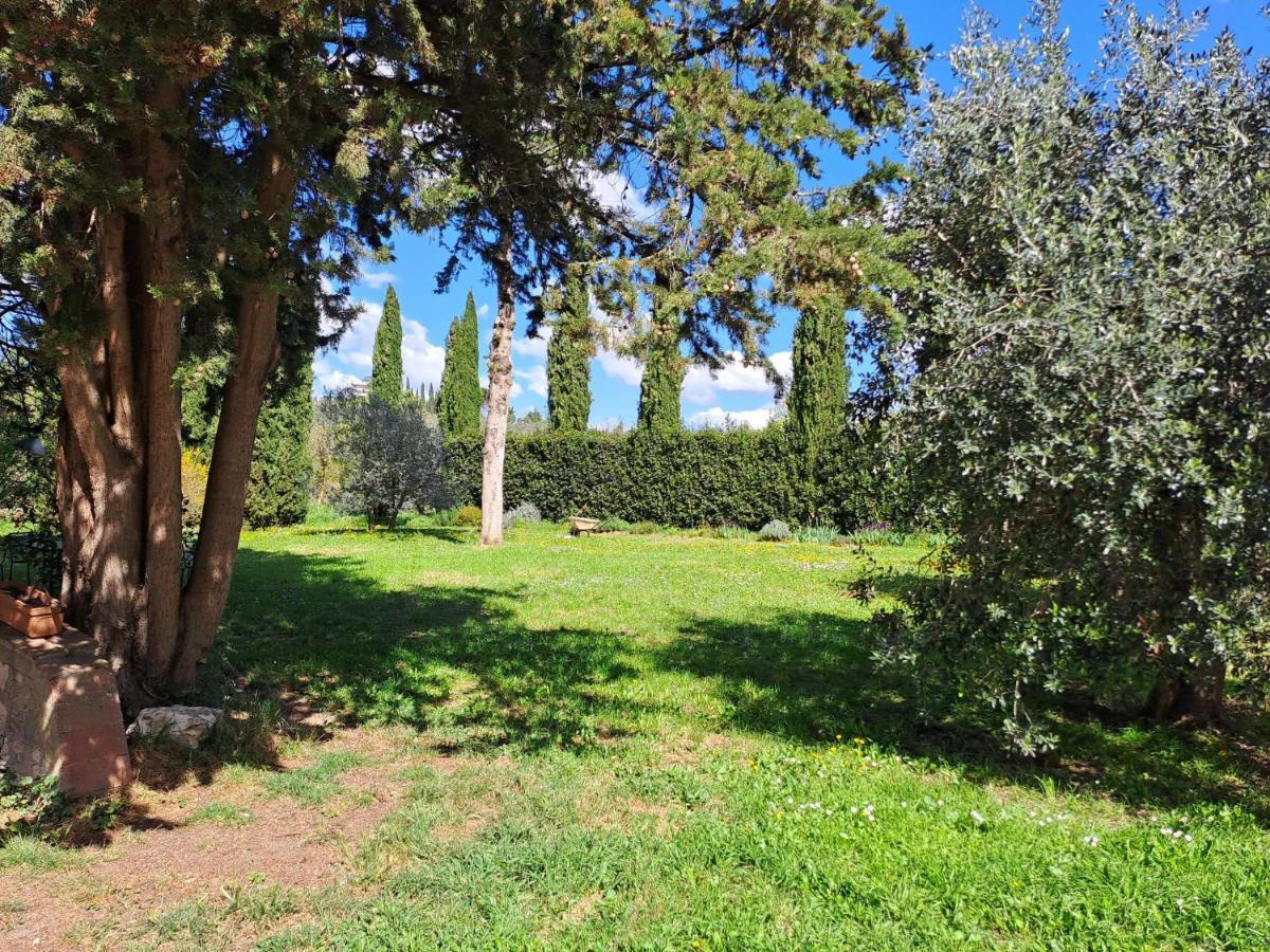 Sunshine Alloggio in famiglia