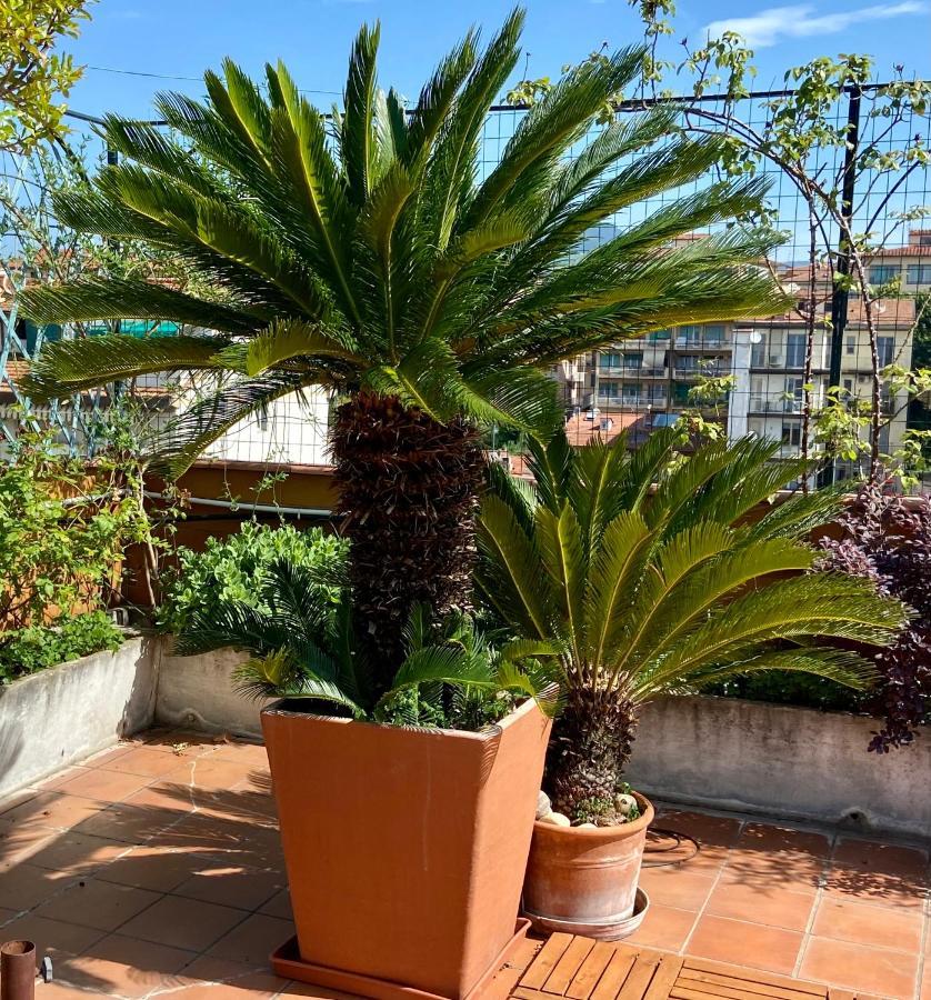 Il Giardino Sospeso Di Anna Apartment