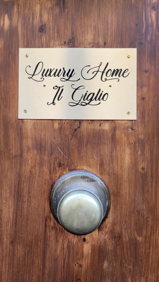 Luxury Il Giglio Apartment Florenz