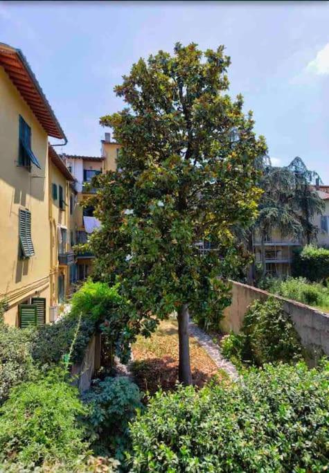 Florence City Suite * Florence
