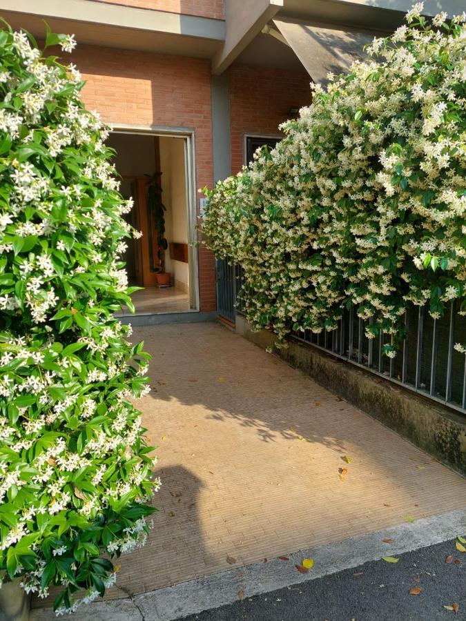 Apartment Flowerence