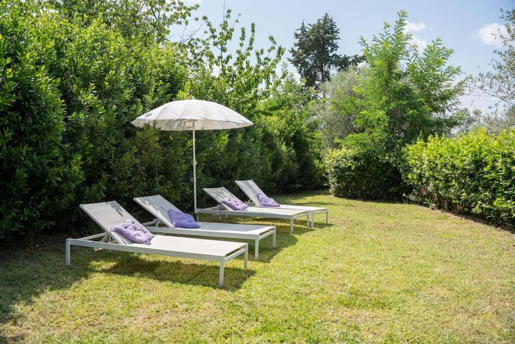 Loft Rustico Toscano: Natura E Relax Appartement *