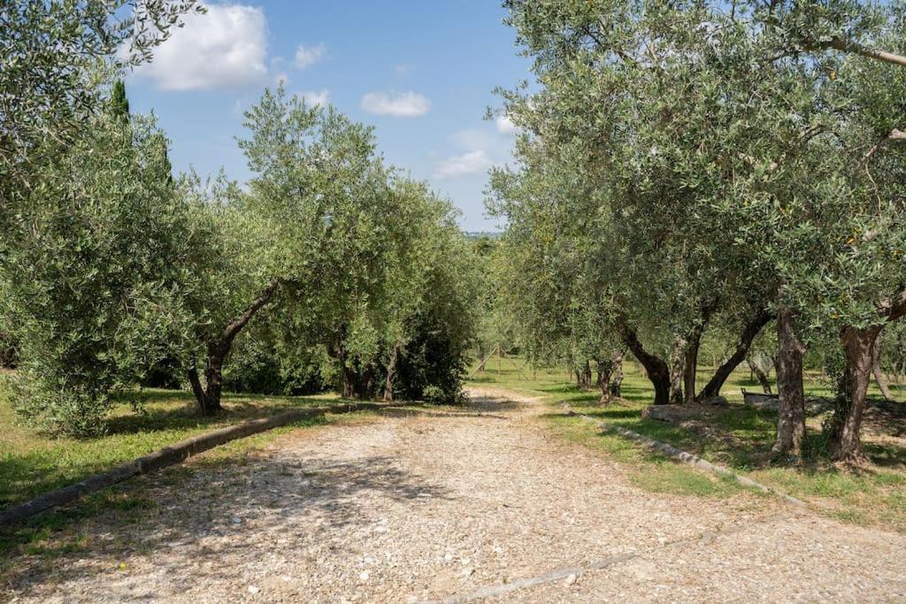 Loft Rustico Toscano: Natura E Relax Appartement