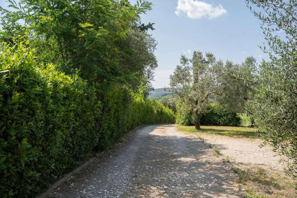 Loft Rustico Toscano: Natura E Relax Appartement *