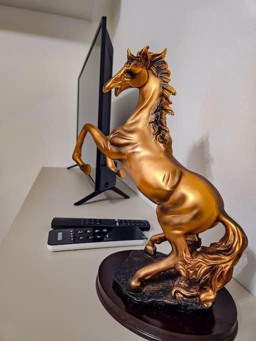 Bravo Horse Modern In Appartamento *