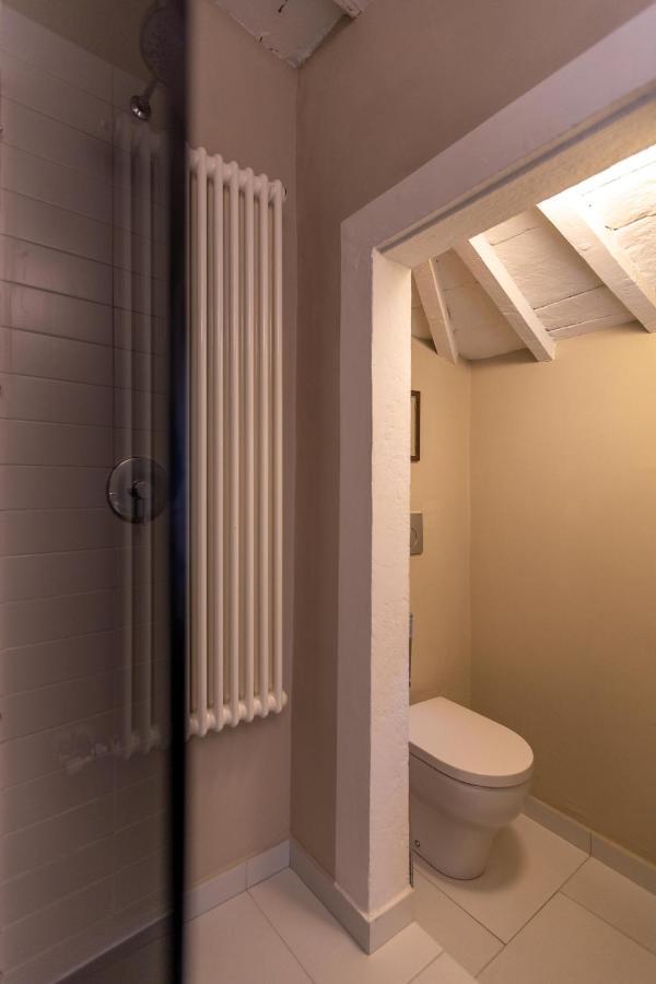 Appartamento Loft In Santo Spirito Firenze