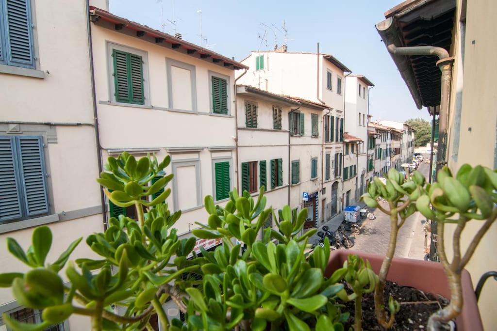 Romantic In San Frediano Apartment
