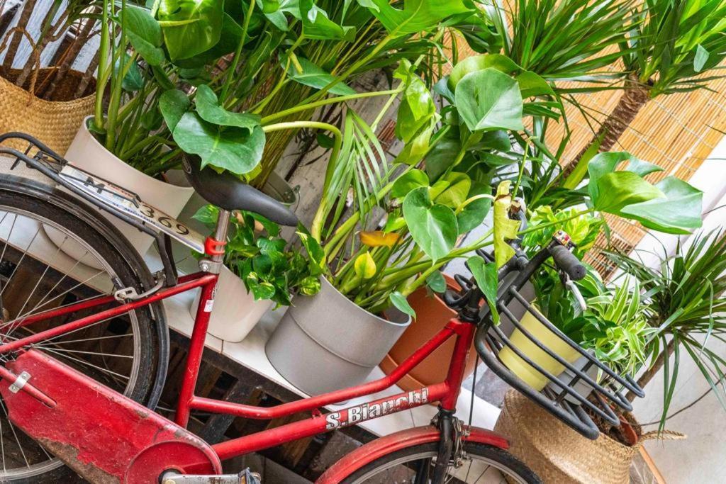 Appartement Puccinotti House Florence