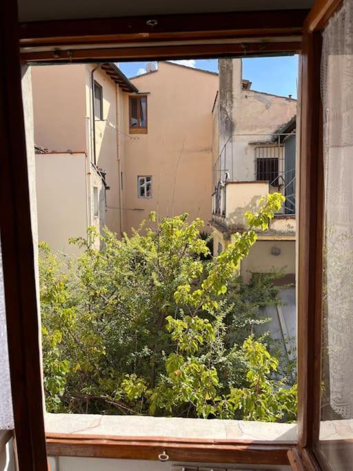 Appartement Spacious Near Arno River Florence