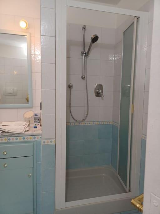 Celeste Apartment-san Frediano Apartment *