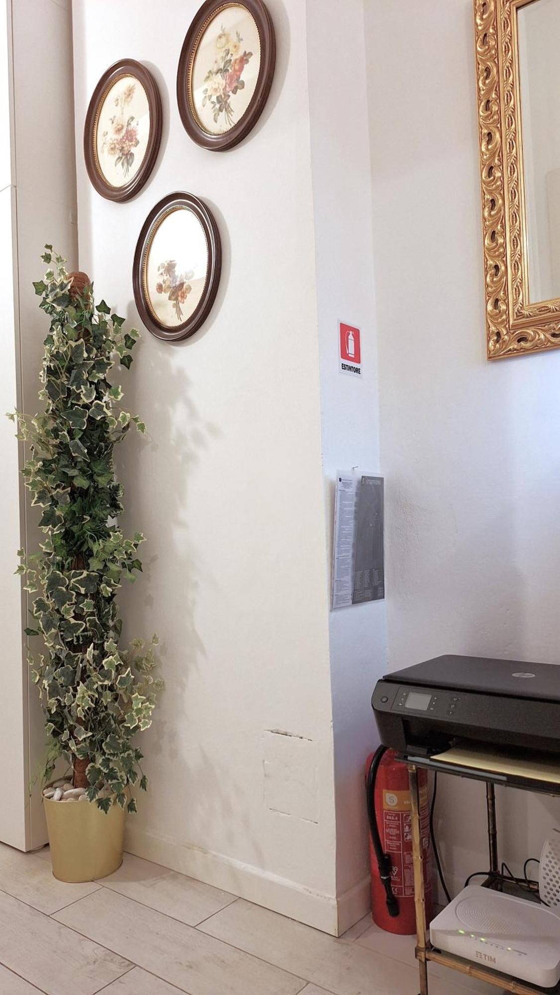 Apartment Renovated Central
