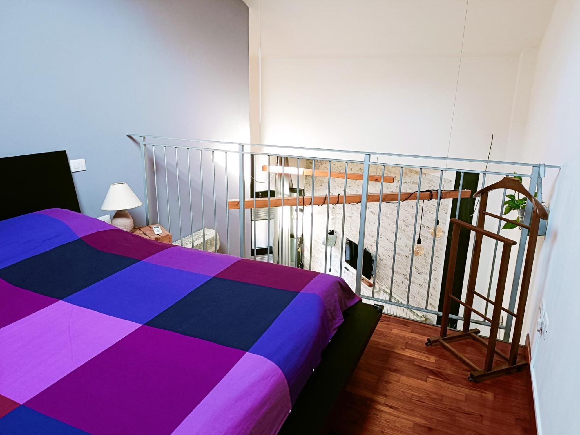 Il Loft Di Nina Apartment *